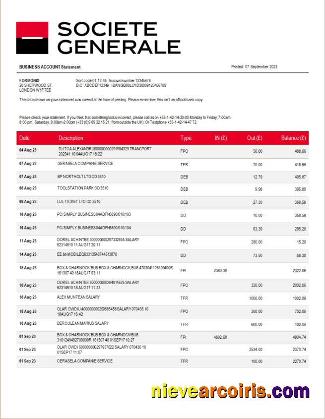 Societe Generale Bank firm account statement